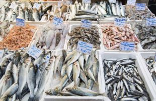 Top 6 Fish Varieties for Reducing Cholesterol Levels