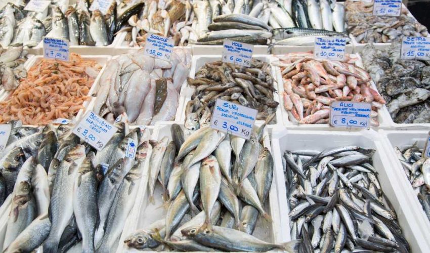 Top 6 Fish Varieties for Reducing Cholesterol Levels